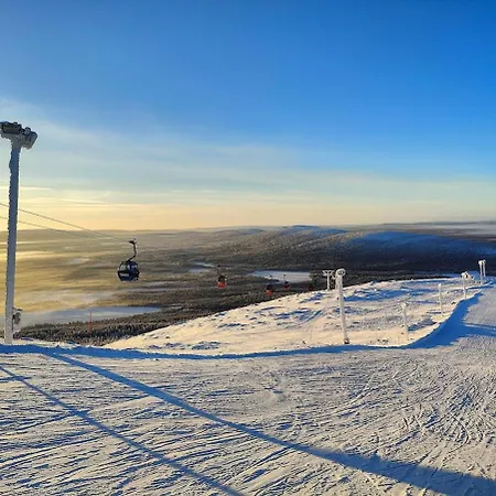 Nordic Light * レヴィ