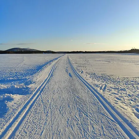 Nordic Light